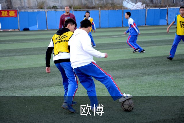 欧博公司环境